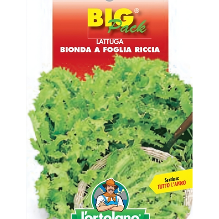 Semi di Lattuga Bionda a Foglia Riccia da Taglio - EUROGARDEN