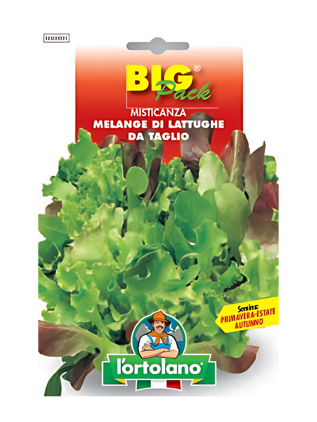 Mixed Salad Leaves