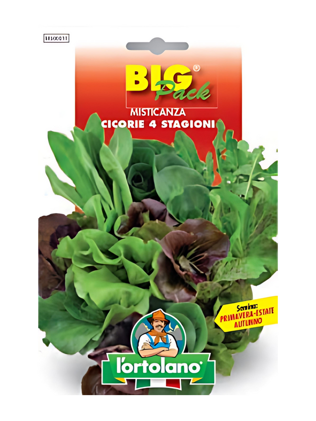 Mixed Chicory 4 Seasons