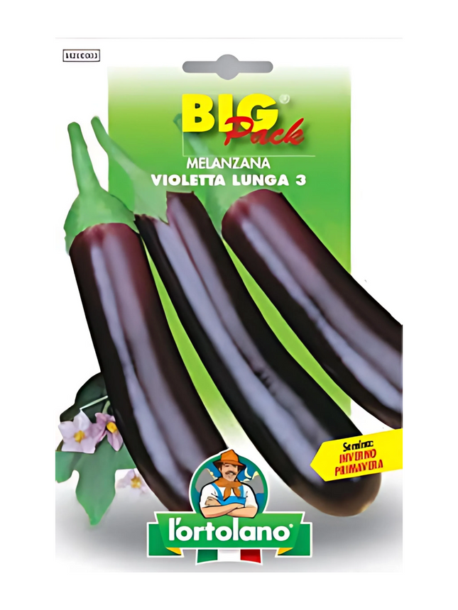Long Violet Eggplant