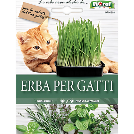 Semi di Erba Gatta