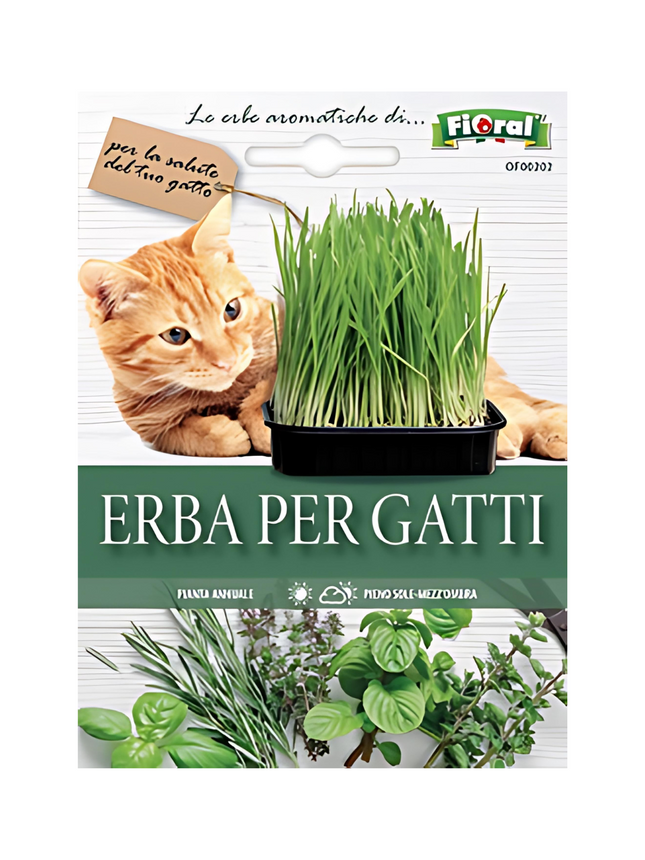 Catnip