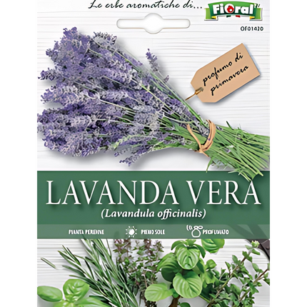 Semi di Lavanda