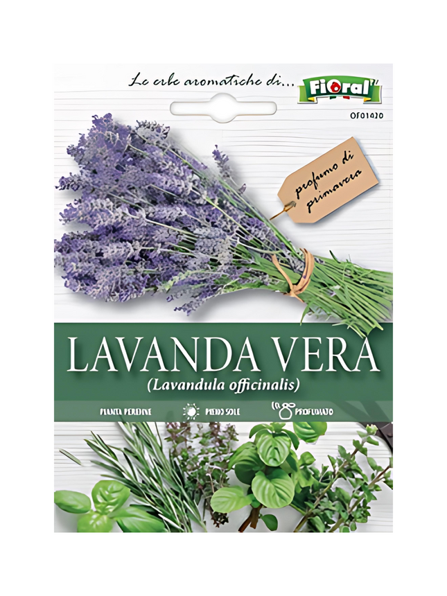 Lavender