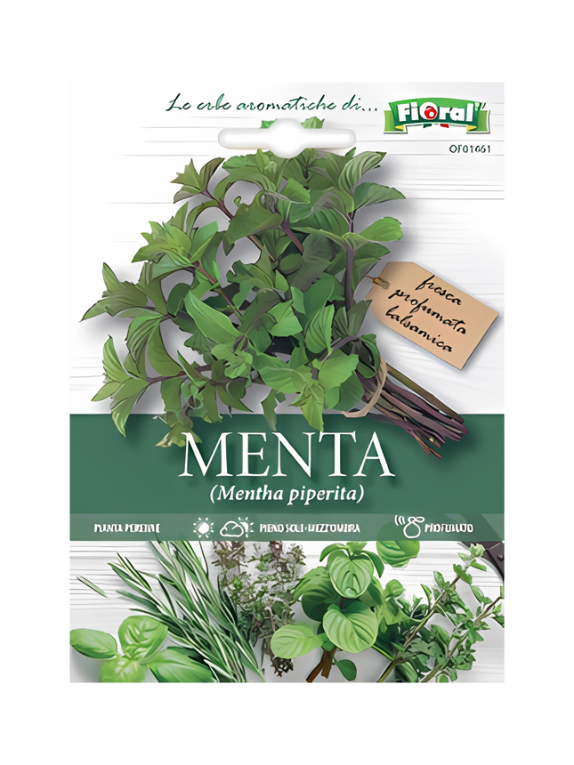 Mint