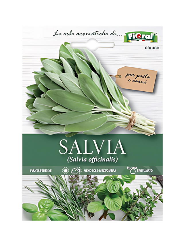 Sage