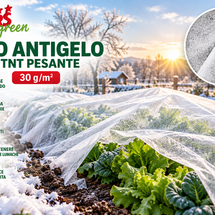 Telo antigelo TNT pesante STARS Green 30 g/m² utilizzato per proteggere ortaggi e piante dal freddo e dalle gelate invernali.