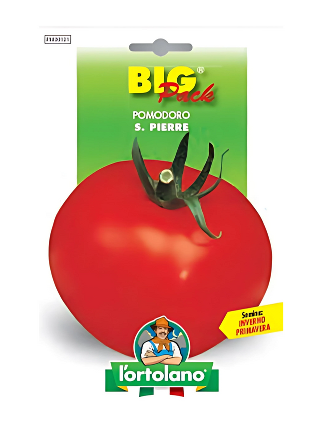 Tomato S. Pierre