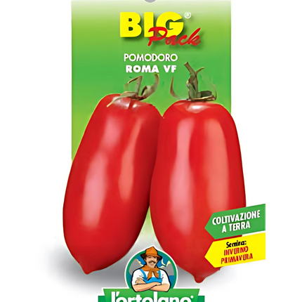 Semi di Pomodoro Roma