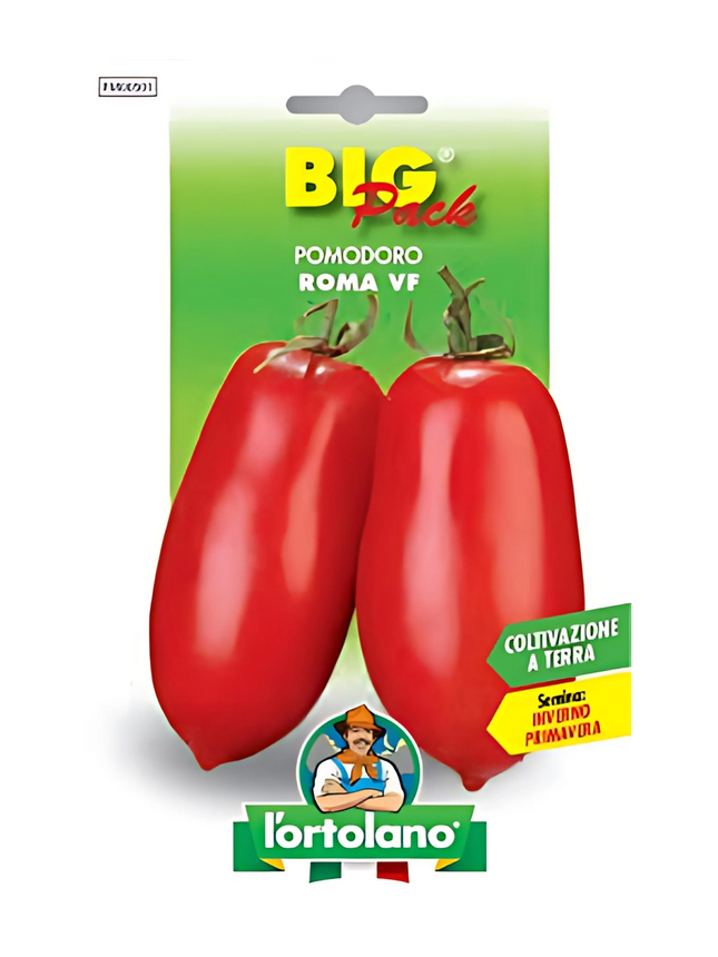 Rome tomato