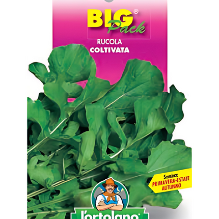 Semi di Rucola Coltivata
