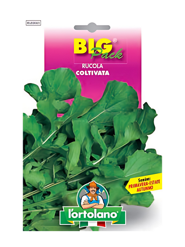 Cultivated Arugula