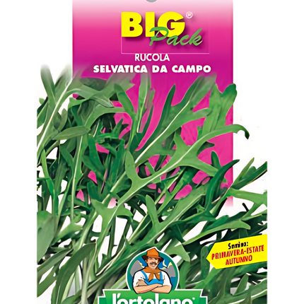 Semi di Rucola Selvatica da Campo