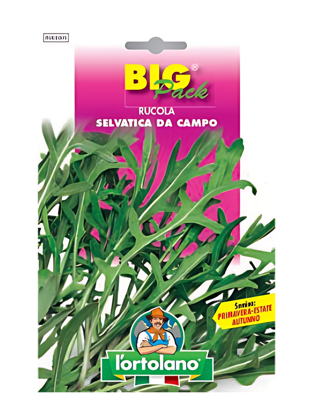 Wild Field Arugula