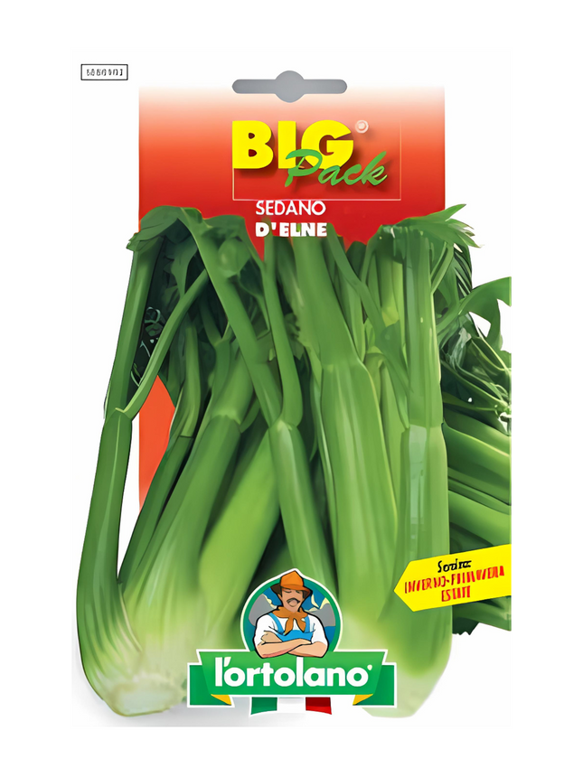 Celery