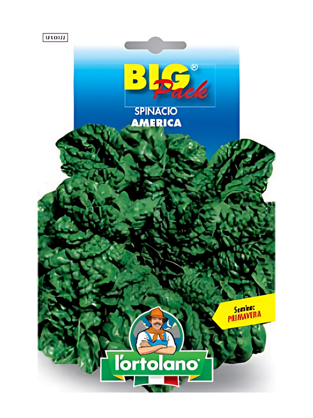 Spinach