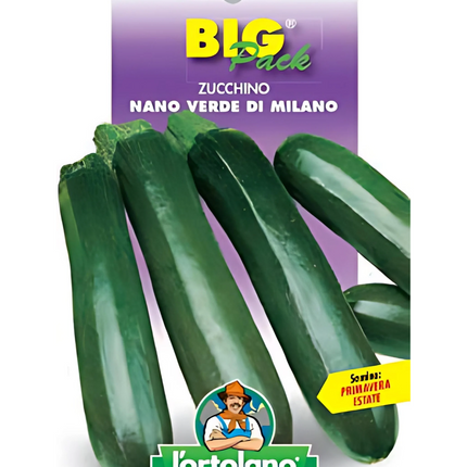 Semi di Zucchino Nano Verde