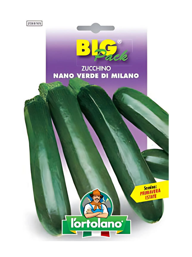 Dwarf Green Courgette