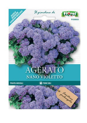 Semi di Agerato Nano Violetto