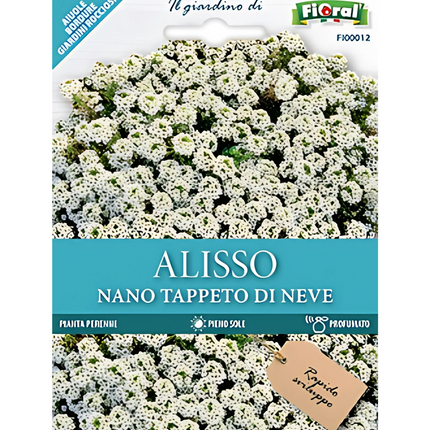 Semi di Alisso Nano Tappeto di Neve