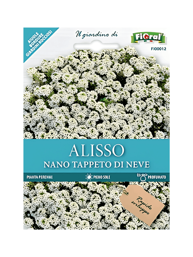 Semi di Alisso Nano Tappeto di Neve - EUROGARDEN