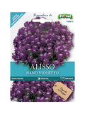 Alisso Nano Violetto