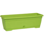 Verde Lime