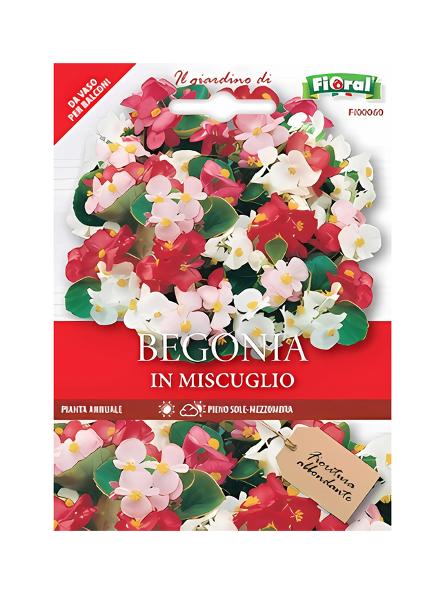 Semi di Begonia - EUROGARDEN