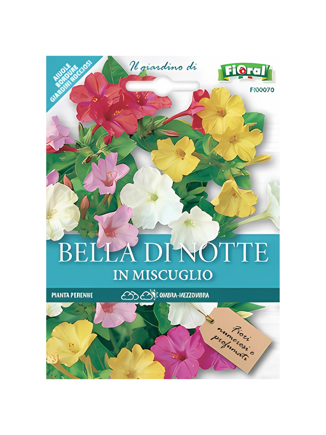 Semi di Bella di Notte - EUROGARDEN