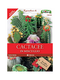 Cactacee