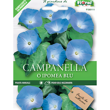Semi di Campanella o Ipomea Blu
