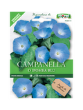 Campanella o Ipomea Blu
