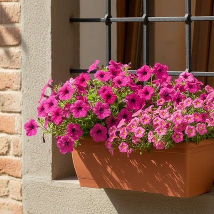 Cassetta Primavera 40 cm