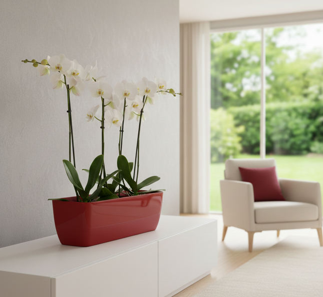 Verve Window Box 45 cm