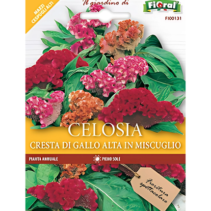 Semi di Celosia Cresta di Gallo Alta - EUROGARDEN