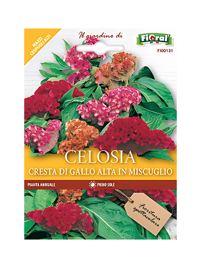 Semi di Celosia Cresta di Gallo Alta - EUROGARDEN