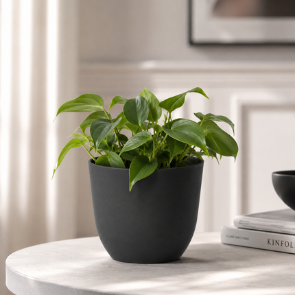 Conca Pure – Coprivaso Moderno in Plastica