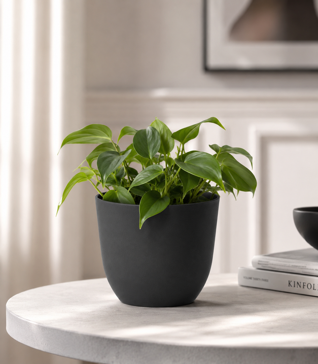 Conca Pure Antracite 13 cm