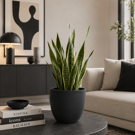 Conca Pure – Coprivaso Moderno in Plastica