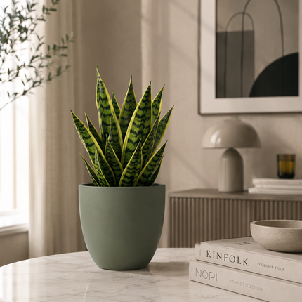 Conca Pure – Coprivaso Moderno in Plastica
