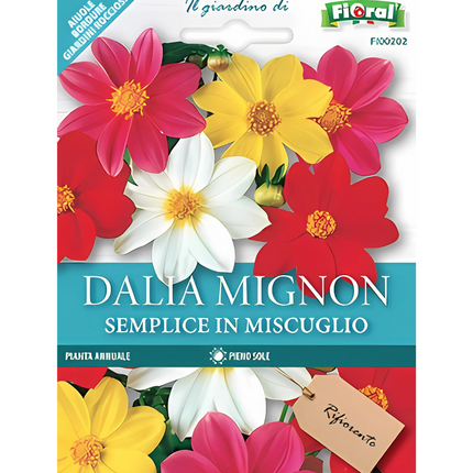 Semi di Dalia Mignon