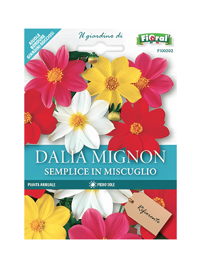 Semi di Dalia Mignon - EUROGARDEN
