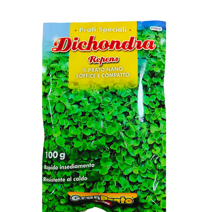 Semi di Dichondra Repens
