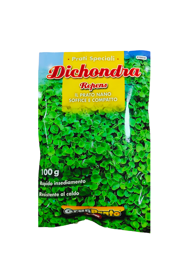 Semi di Dichondra Repens