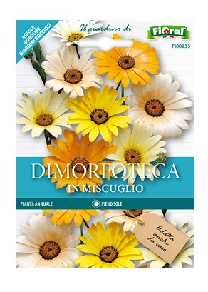 Semi di Dimorfoteca in Miscuglio