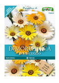 Dimorfoteca In Miscuglio