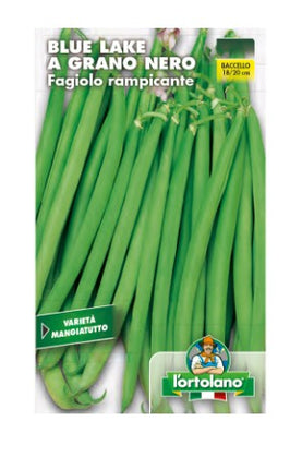 Semi di Fagiolo Rampicante Blue Lake 250 gr