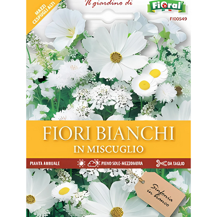 Semi di Fiori Bianchi in Miscuglio