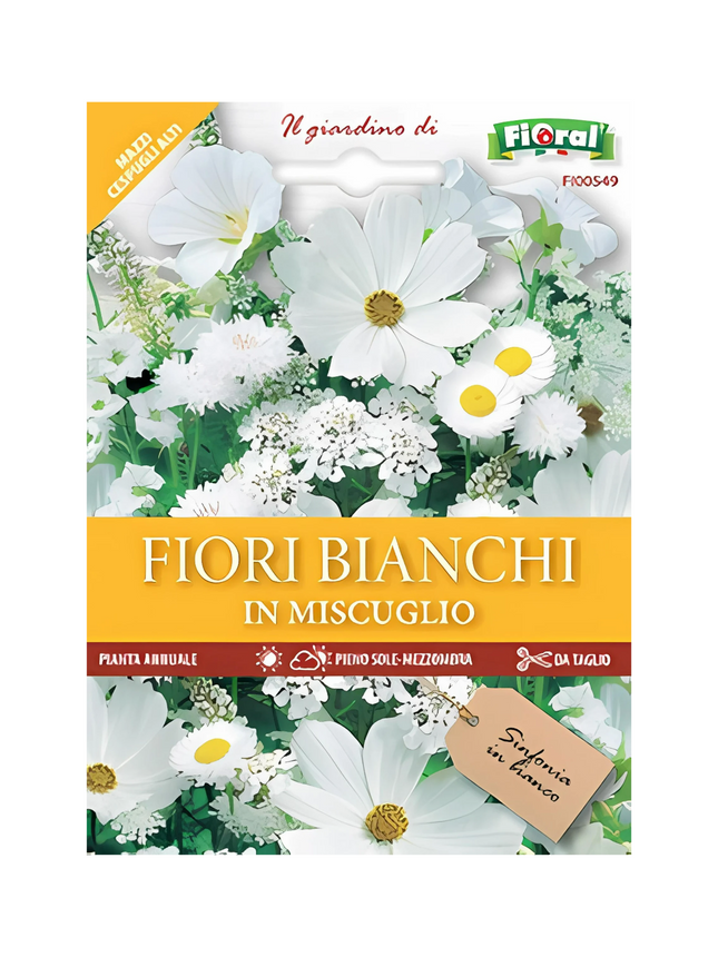 Semi di Fiori Bianchi in Miscuglio
