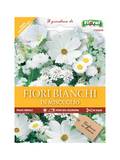 Fiori Bianchi